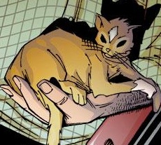 Mystique (Cat)(Earth-1610)