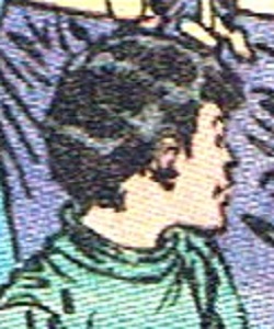 Aarron (Millwood resident)