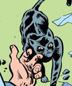 Amos (Max Yadow cat)