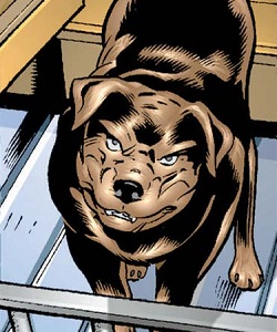 Barker (Caryn Earle dog)