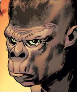 Baron Zemo (Helmut Zemo)(Earth-12151)