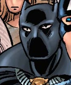 Black Panther (Earth-71016)