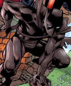 Black Panther (Earth-9930)