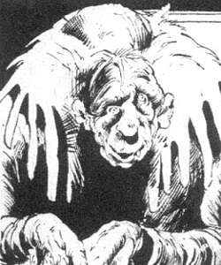 Bruno (James Sinoda minion)