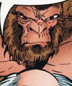 Comrade Grodd (Amalgam)