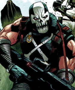 Crossbones
