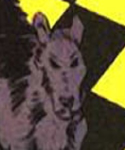 Corky (Annie Antonelli dog)