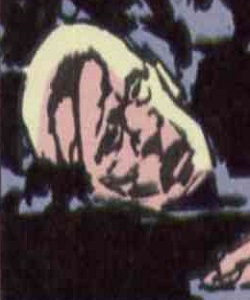 Brother Francis (Earth-88194)