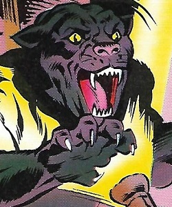 Felix (Sophie Siskinsky panther)