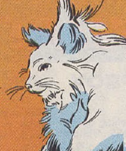 Fergie (Ericka Manning cat)