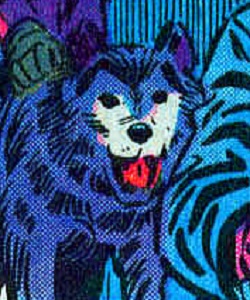 Frost (Andy Evans dog)