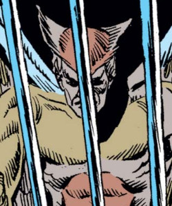 George the Angel-Hawk