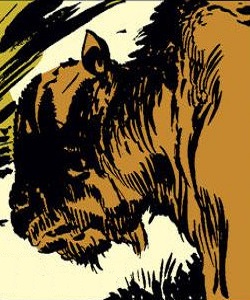 Gholla the Woolly Horned