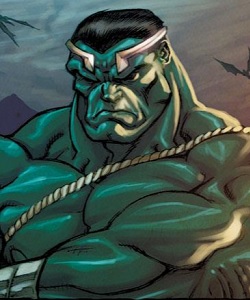 Hulk (Earth-807093)