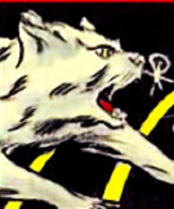 Igor (Susan Daley cat)