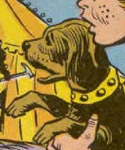 Jip (Todd Gregory dog)