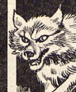 Lupe (Vortigen wolf)