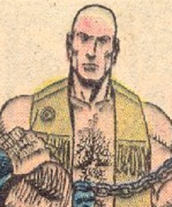 Mr. Clean (Central Park mugger)