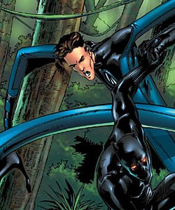 Mister Fantastic (Earth-20051)