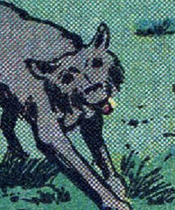 Muff (Ellen & David Pace dog)