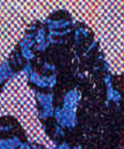 Mung (Lords of the Golden Dragon agent)