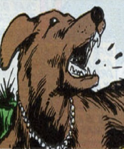 Murphy (Jason Bailey dog)