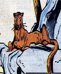 Nimo (western mountain lion)