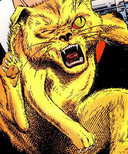 Power Girls Cat (New Earth)