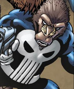 Punisher (Earth-8101)