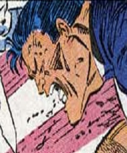 Punisher (Earth-9250)