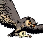 Ralph (Owl)(Earth-1610)