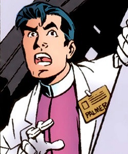 Ray Palmer (Amalgam)