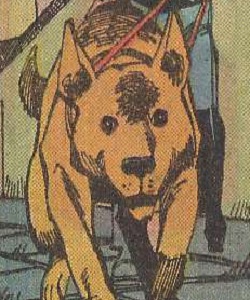 Roscoe (Lewisburg Federal Penitentiary)