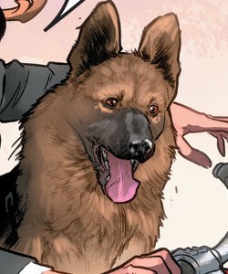 Saoirse (Nature Girl dog)