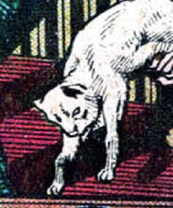 Sebastian (Jane Crawlins cat)