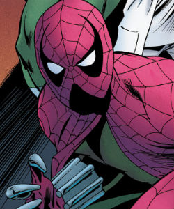 Spider Hero (Earth-25315)