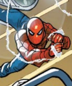Spider-Man (Earth-15312)