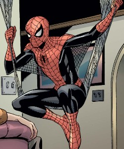 Spider-Man (Earth-6078)