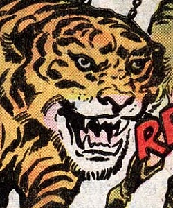 Taggy the Taggart Tiger