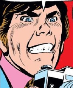 Willie (Herald reporter)