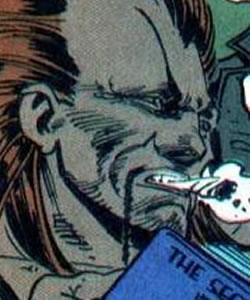 Wolf (Quentin Carnival)