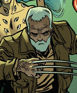 Wolverine (Earth-13729)