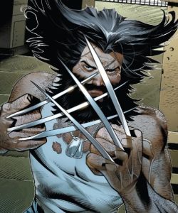 Wolverine (Earth-19333)