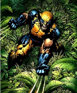 Wolverine