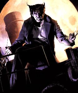 Wolverine (Earth-90214)