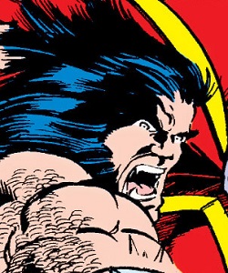 Wolverine (Earth-691)