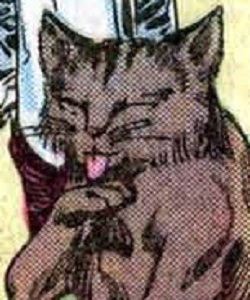 Zach (Maureen Mores Friesen cat)