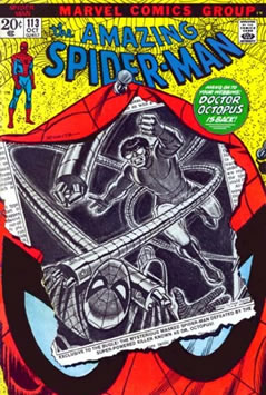 Amazing Spider-Man (1963) #113