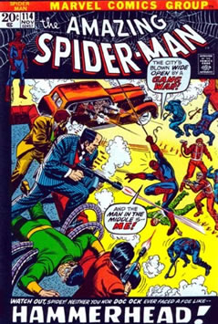 Amazing Spider-Man (1963) #114