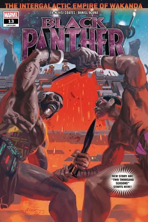 Black Panther (2018) #13